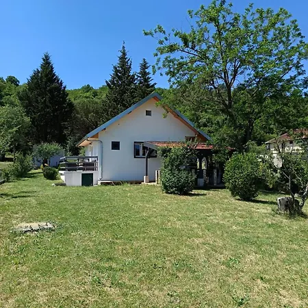 Mira Drniš